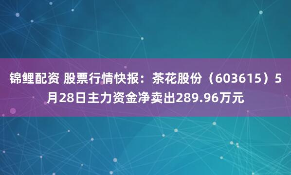 锦鲤配资 股票行情快报：茶花股份（603615）5月28日主力资金净卖出289.96万元