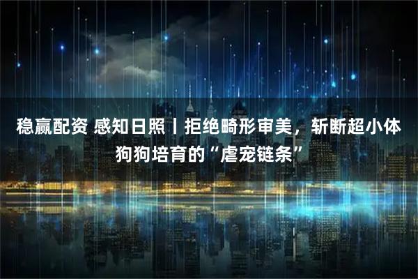 稳赢配资 感知日照丨拒绝畸形审美，斩断超小体狗狗培育的“虐宠链条”