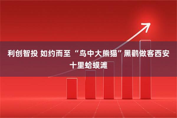 利创智投 如约而至 “鸟中大熊猫”黑鹳做客西安十里蛤蟆滩