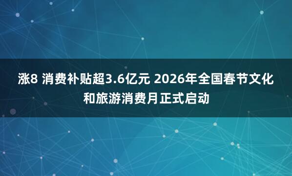 涨8 消费补贴超3.6亿元 2026年全国春节文化和旅游消费月正式启动
