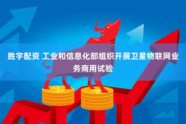 胜宇配资 工业和信息化部组织开展卫星物联网业务商用试验