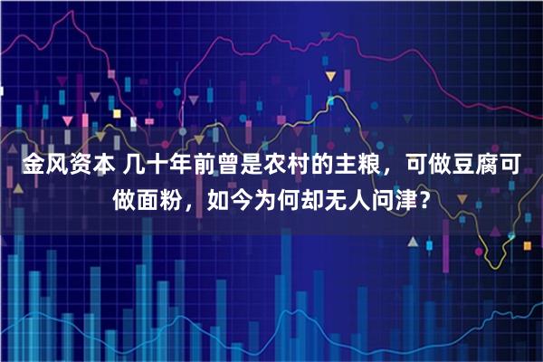 金风资本 几十年前曾是农村的主粮，可做豆腐可做面粉，如今为何却无人问津？